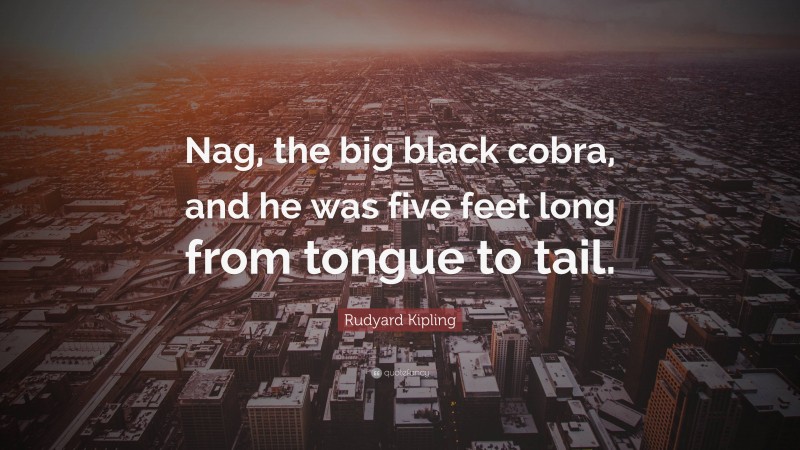 Rudyard Kipling Quote: “Nag, the big black cobra, and he was five feet long from tongue to tail.”
