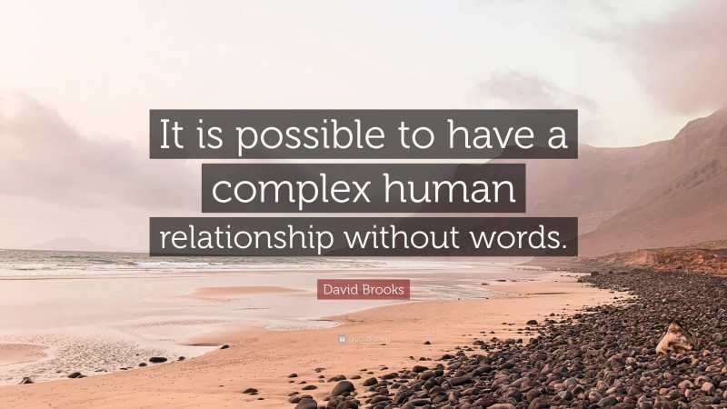 David Brooks Quote: “It is possible to have a complex human relationship without words.”
