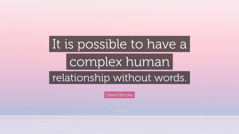 David Brooks Quote: “It is possible to have a complex human relationship without words.”