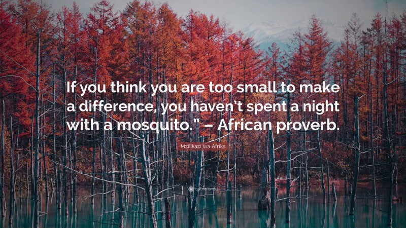 Mzilikazi wa Afrika Quote: “If you think you are too small to make a difference, you haven’t spent a night with a mosquito.” – African proverb.”