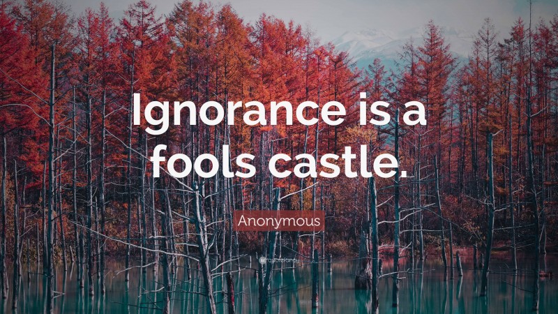 Anonymous Quote: “Ignorance is a fools castle.”