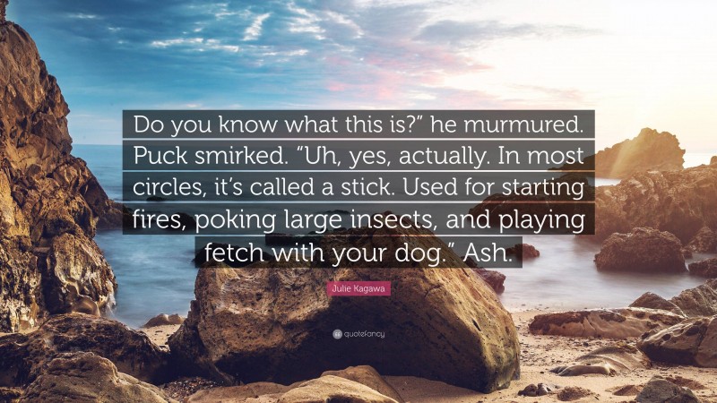 Julie Kagawa Quote: “Do you know what this is?” he murmured. Puck smirked. “Uh, yes, actually. In most circles, it’s called a stick. Used for starting fires, poking large insects, and playing fetch with your dog.” Ash.”