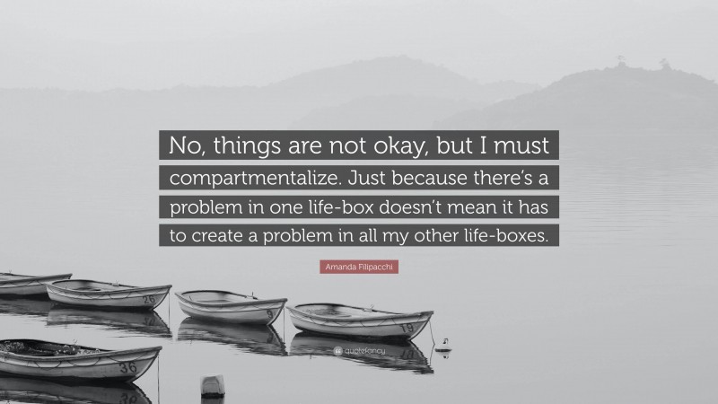 Amanda Filipacchi Quote: “No, things are not okay, but I must compartmentalize. Just because there’s a problem in one life-box doesn’t mean it has to create a problem in all my other life-boxes.”
