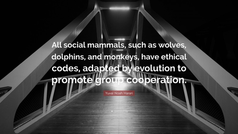 Yuval Noah Harari Quote: “All social mammals, such as wolves, dolphins, and monkeys, have ethical codes, adapted by evolution to promote group cooperation.”