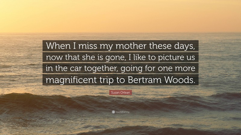 Susan Orlean Quote: “When I miss my mother these days, now that she is gone, I like to picture us in the car together, going for one more magnificent trip to Bertram Woods.”