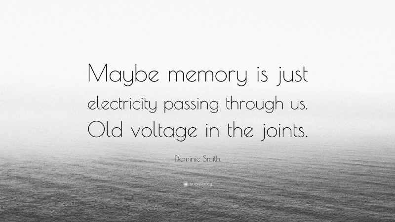 Dominic Smith Quote: “Maybe memory is just electricity passing through us. Old voltage in the joints.”