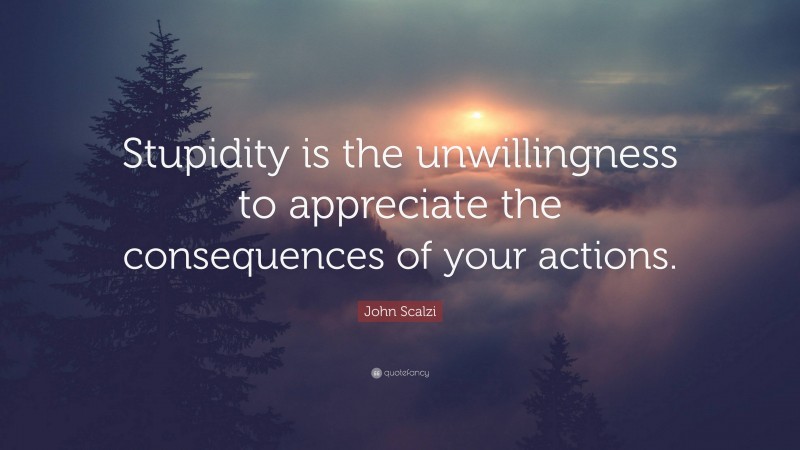 John Scalzi Quote: “Stupidity is the unwillingness to appreciate the consequences of your actions.”
