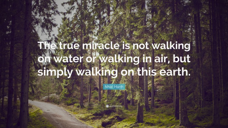 Nhat Hanh Quote: “The true miracle is not walking on water or walking in air, but simply walking on this earth.”
