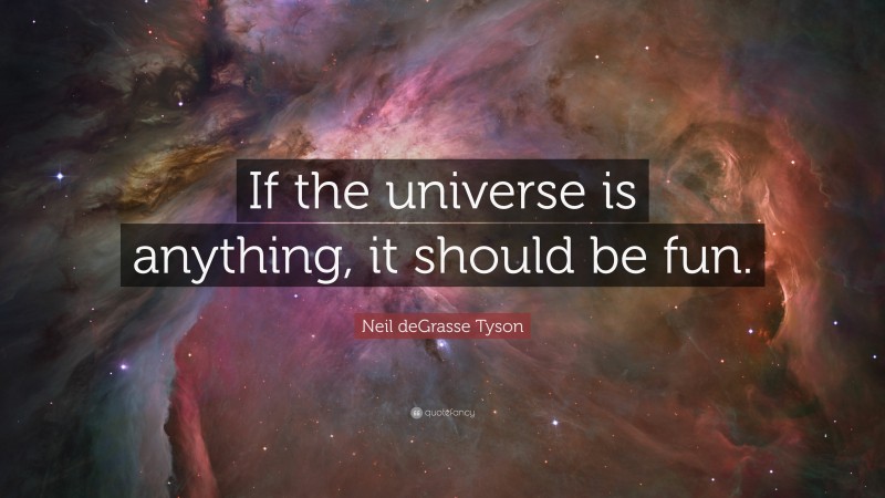 Neil deGrasse Tyson Quote: “If the universe is anything, it should be fun.”