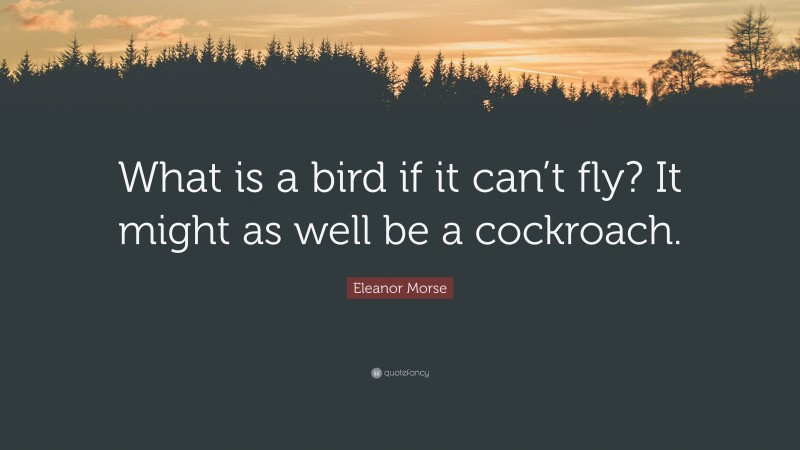 Eleanor Morse Quote: “What is a bird if it can’t fly? It might as well be a cockroach.”