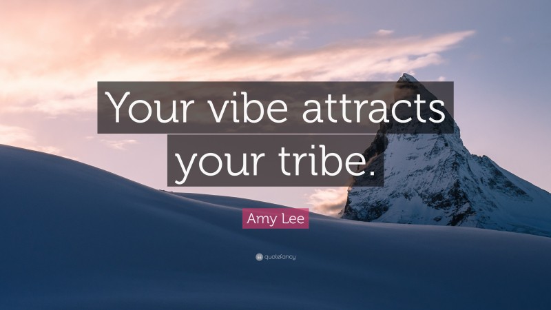 Amy Lee Quote: “Your vibe attracts your tribe.”