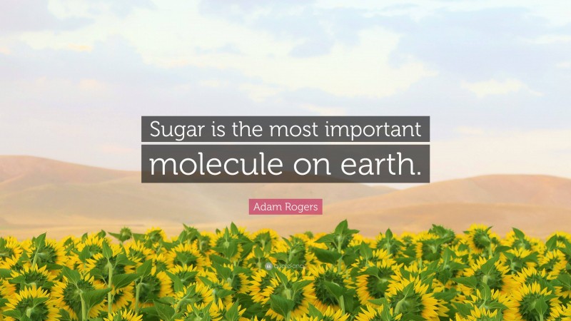 Adam Rogers Quote: “Sugar is the most important molecule on earth.”