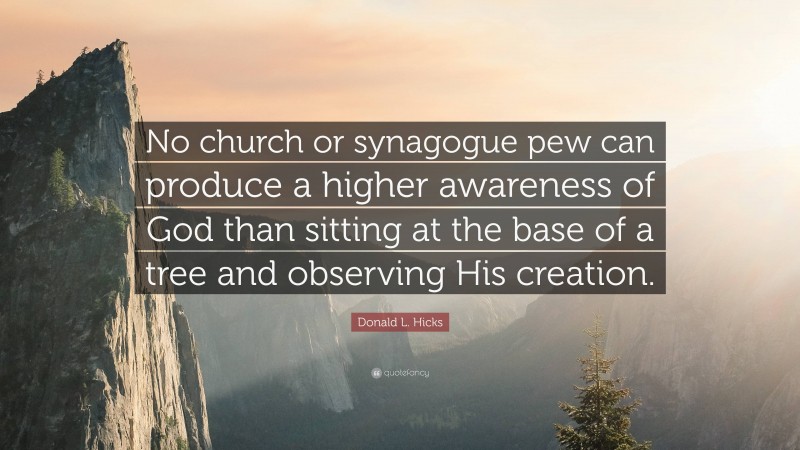 Donald L. Hicks Quote: “No church or synagogue pew can produce a higher awareness of God than sitting at the base of a tree and observing His creation.”