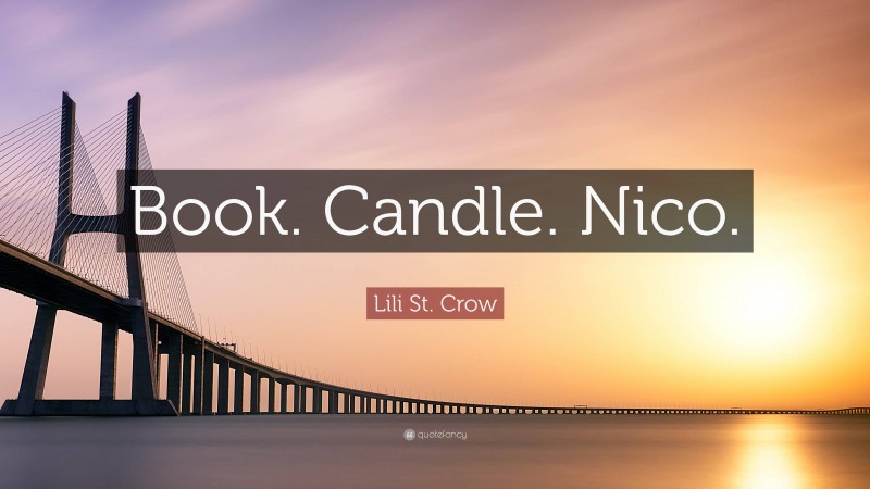 Lili St. Crow Quote: “Book. Candle. Nico.”