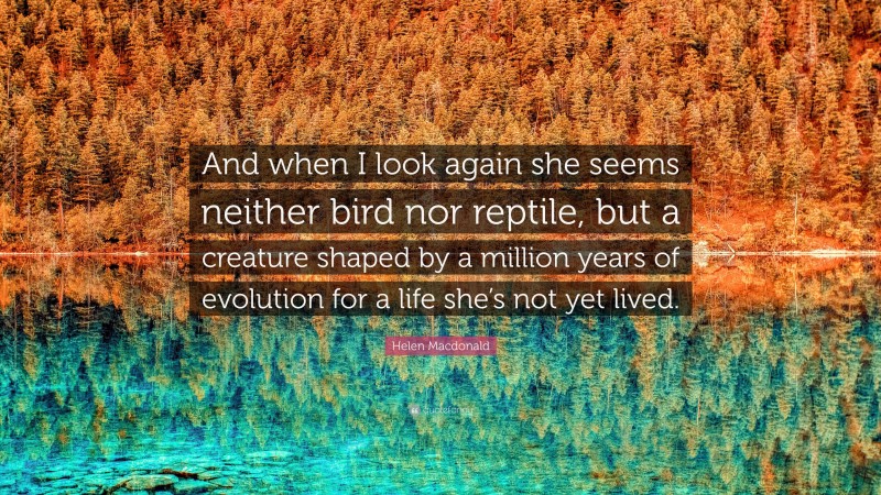 Helen Macdonald Quote: “And when I look again she seems neither bird nor reptile, but a creature shaped by a million years of evolution for a life she’s not yet lived.”