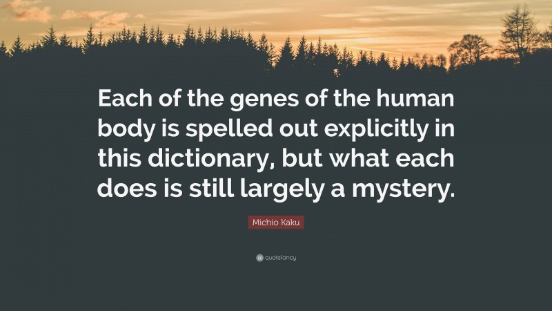 Michio Kaku Quote: “Each of the genes of the human body is spelled out explicitly in this dictionary, but what each does is still largely a mystery.”