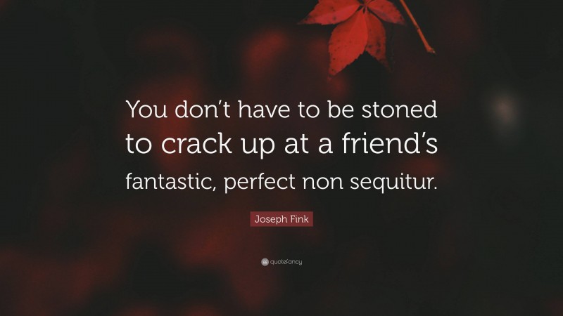 Joseph Fink Quote: “You don’t have to be stoned to crack up at a friend’s fantastic, perfect non sequitur.”