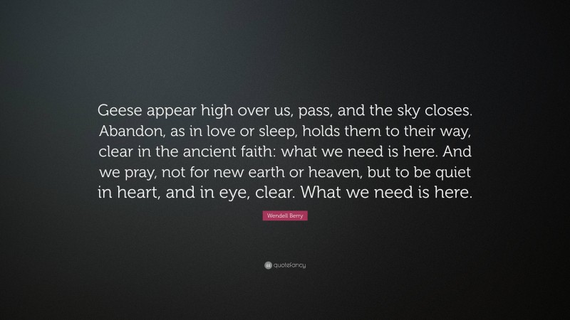 Wendell Berry Quote: “Geese appear high over us, pass, and the sky closes. Abandon, as in love or sleep, holds them to their way, clear in the ancient faith: what we need is here. And we pray, not for new earth or heaven, but to be quiet in heart, and in eye, clear. What we need is here.”