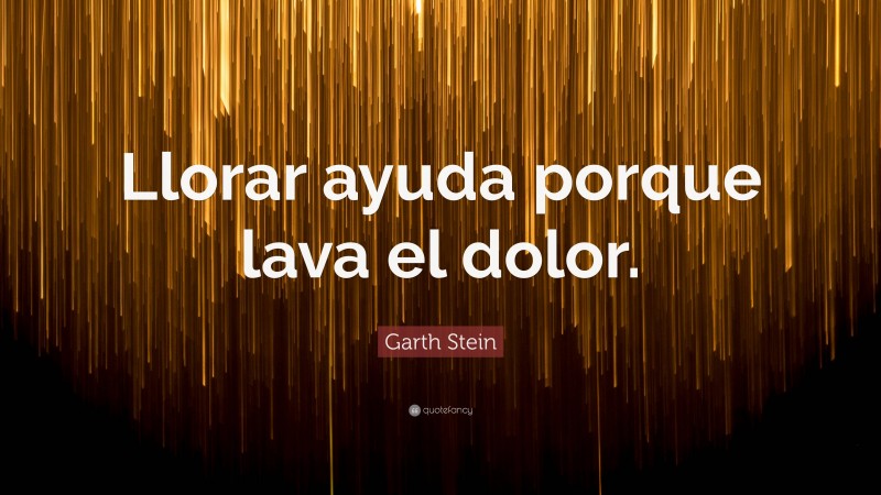 Garth Stein Quote: “Llorar ayuda porque lava el dolor.”