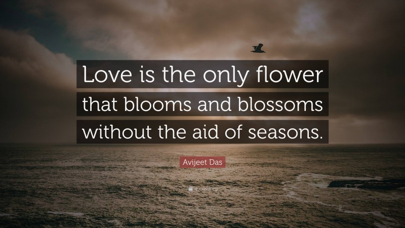 Avijeet Das Quote: “Love is the only flower that blooms and blossoms without the aid of seasons.”