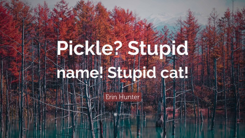 Erin Hunter Quote: “Pickle? Stupid name! Stupid cat!”