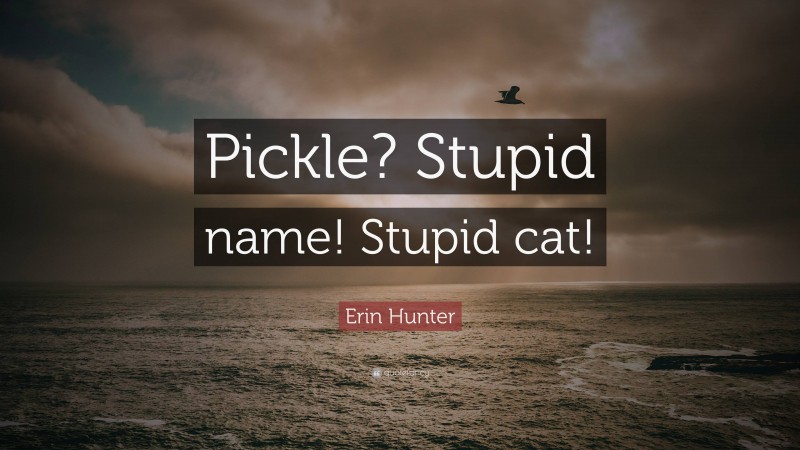 Erin Hunter Quote: “Pickle? Stupid name! Stupid cat!”