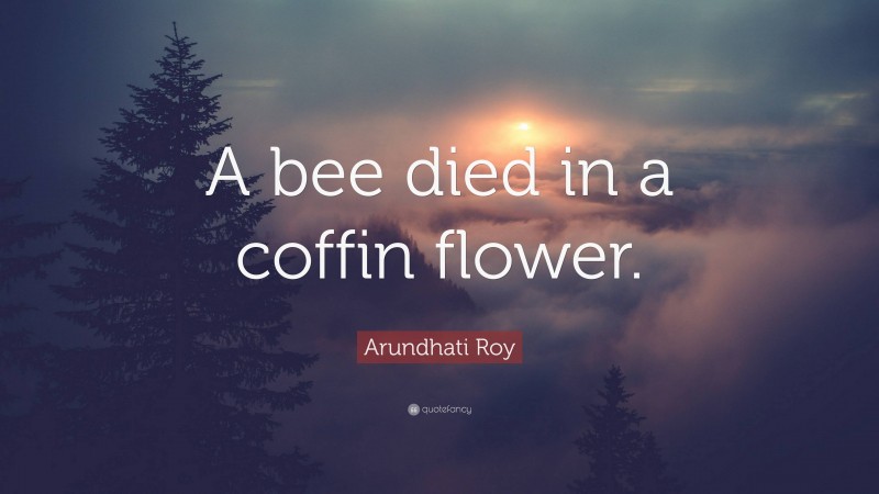 Arundhati Roy Quote: “A bee died in a coffin flower.”