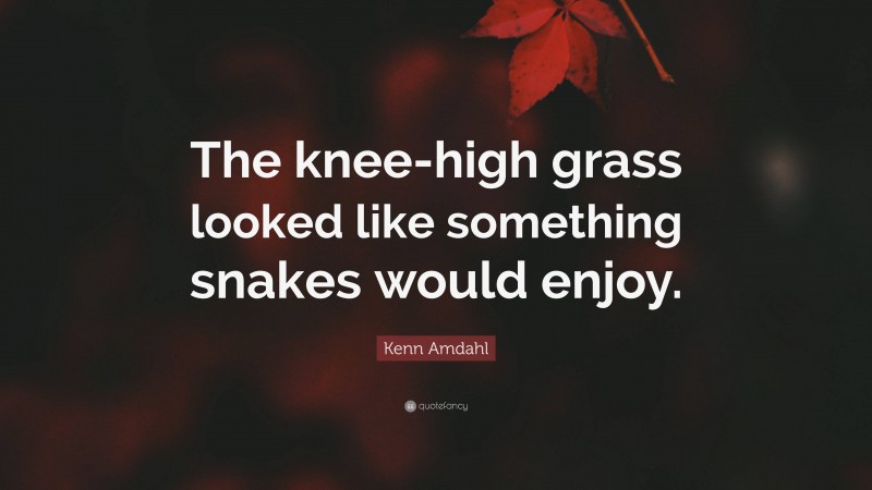 Kenn Amdahl Quote: “The knee-high grass looked like something snakes would enjoy.”