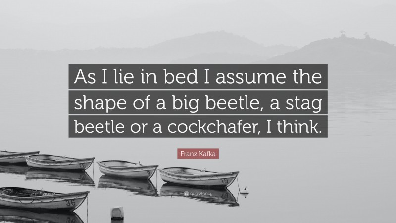 Franz Kafka Quote: “As I lie in bed I assume the shape of a big beetle, a stag beetle or a cockchafer, I think.”