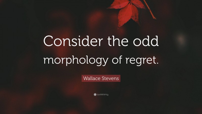 Wallace Stevens Quote: “Consider the odd morphology of regret.”