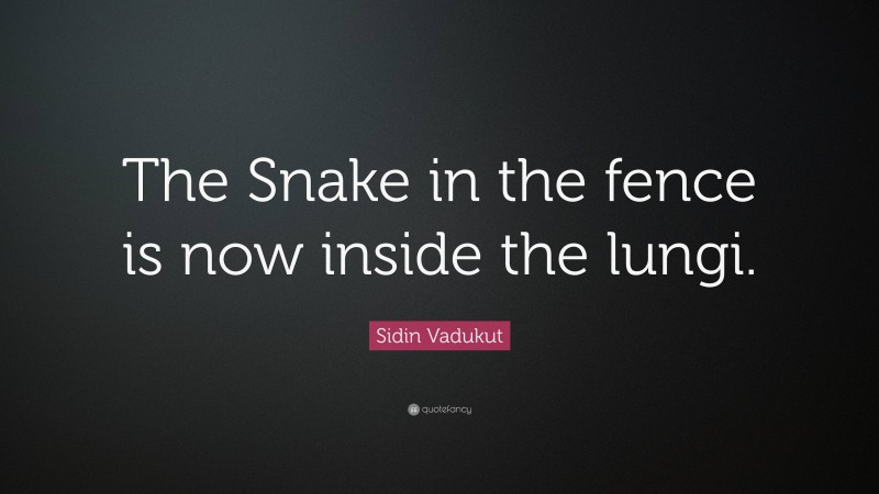 Sidin Vadukut Quote: “The Snake in the fence is now inside the lungi.”