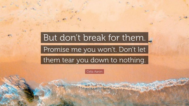 Celia Aaron Quote: “But don’t break for them. Promise me you won’t. Don’t let them tear you down to nothing.”