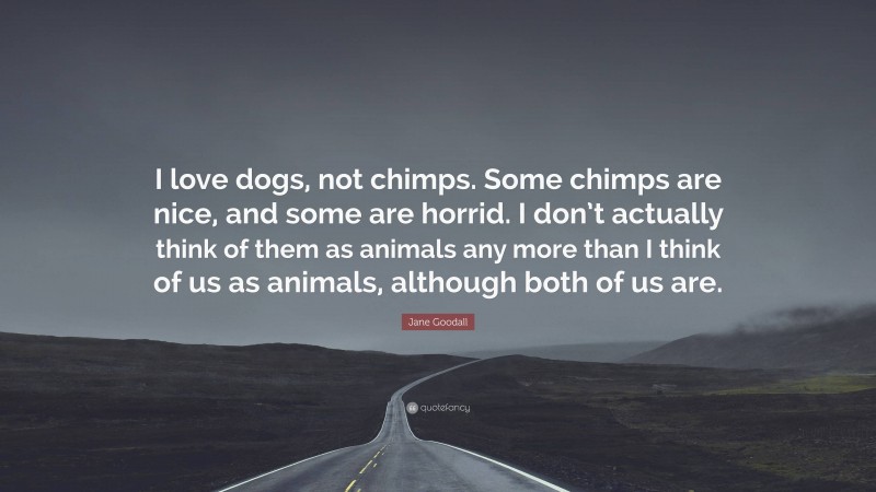 Jane Goodall Quote: “I love dogs, not chimps. Some chimps are nice, and some are horrid. I don’t actually think of them as animals any more than I think of us as animals, although both of us are.”