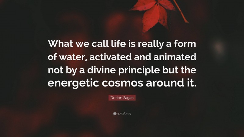 Dorion Sagan Quote: “What we call life is really a form of water, activated and animated not by a divine principle but the energetic cosmos around it.”