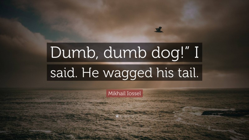 Mikhail Iossel Quote: “Dumb, dumb dog!” I said. He wagged his tail.”