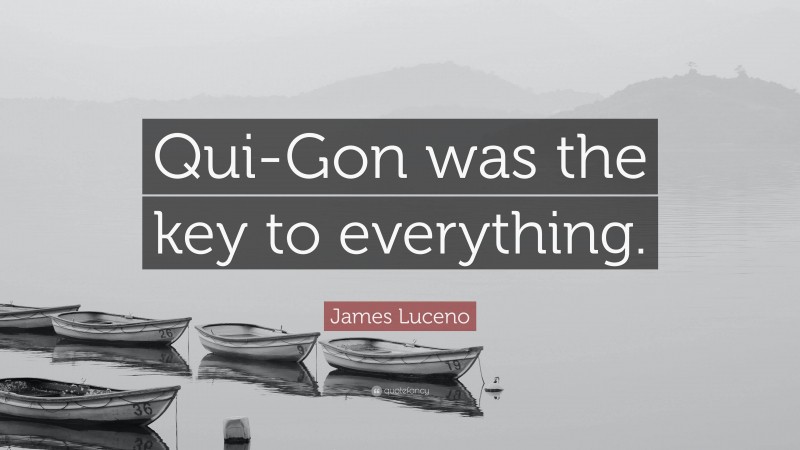 James Luceno Quote: “Qui-Gon was the key to everything.”