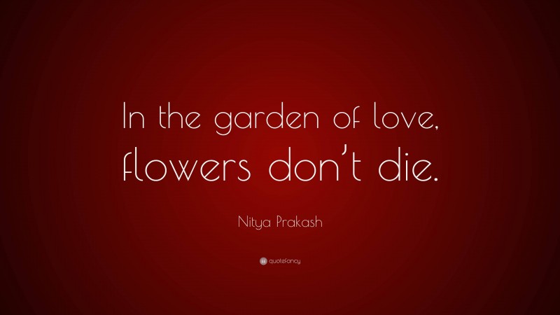 Nitya Prakash Quote: “In the garden of love, flowers don’t die.”