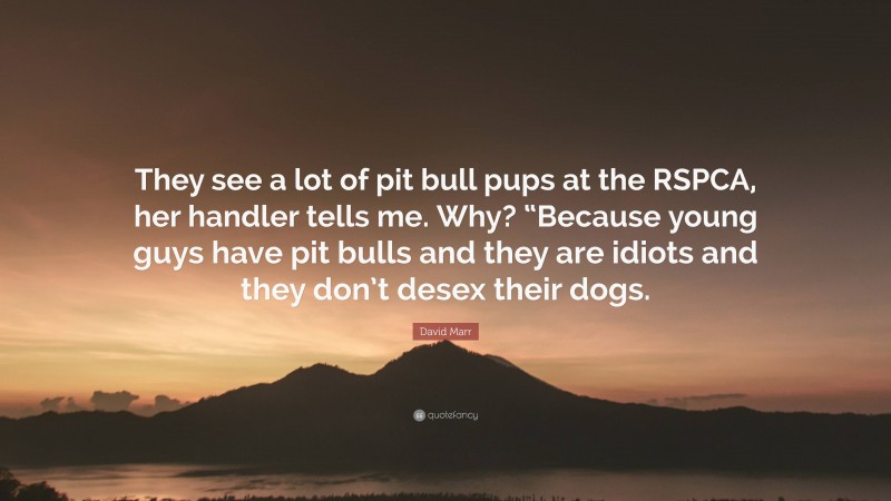 David Marr Quote: “They see a lot of pit bull pups at the RSPCA, her handler tells me. Why? “Because young guys have pit bulls and they are idiots and they don’t desex their dogs.”