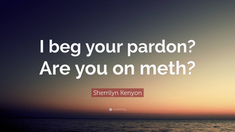 Sherrilyn Kenyon Quote: “I beg your pardon? Are you on meth?”