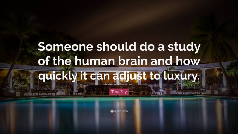 Tina Fey Quote: “Someone should do a study of the human brain and how quickly it can adjust to luxury.”