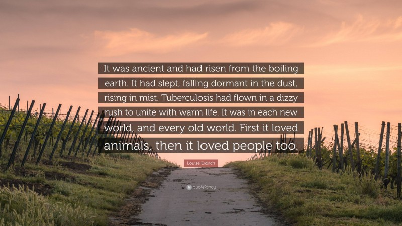 Louise Erdrich Quote: “It was ancient and had risen from the boiling earth. It had slept, falling dormant in the dust, rising in mist. Tuberculosis had flown in a dizzy rush to unite with warm life. It was in each new world, and every old world. First it loved animals, then it loved people too.”