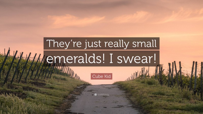 Cube Kid Quote: “They’re just really small emeralds! I swear!”