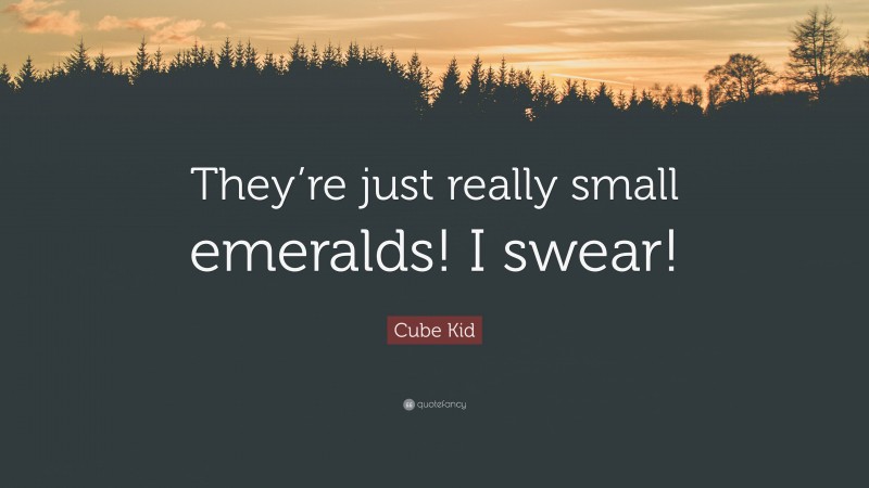 Cube Kid Quote: “They’re just really small emeralds! I swear!”