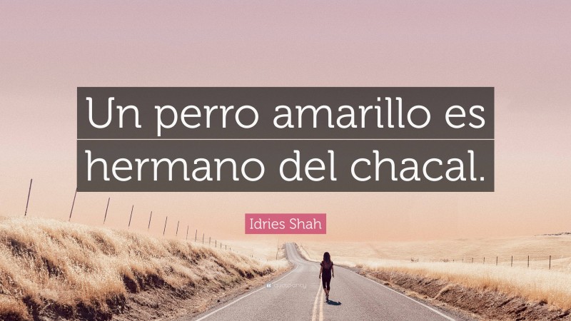 Idries Shah Quote: “Un perro amarillo es hermano del chacal.”