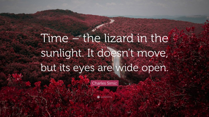 Charles Simic Quote: “Time – the lizard in the sunlight. It doesn’t move, but its eyes are wide open.”