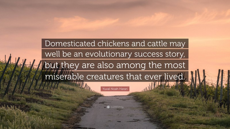 Yuval Noah Harari Quote: “Domesticated chickens and cattle may well be an evolutionary success story, but they are also among the most miserable creatures that ever lived.”