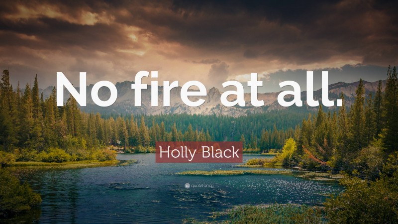 Holly Black Quote: “No fire at all.”