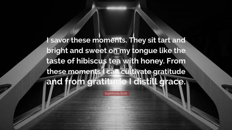Sophfronia Scott Quote: “I savor these moments. They sit tart and bright and sweet on my tongue like the taste of hibiscus tea with honey. From these moments I can cultivate gratitude and from gratitude I distill grace.”