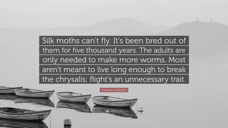 Genevieve Valentine Quote: “Silk moths can’t fly. It’s been bred out of them for five thousand years. The adults are only needed to make more worms. Most aren’t meant to live long enough to break the chrysalis; flight’s an unnecessary trait.”