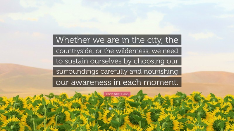 Thich Nhat Hanh Quote: “Whether we are in the city, the countryside, or the wilderness, we need to sustain ourselves by choosing our surroundings carefully and nourishing our awareness in each moment.”